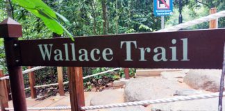 Wallace Trail, Dairy Farm Nature Park