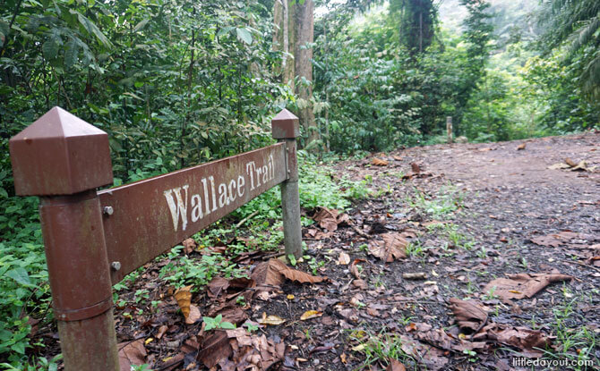 Entrance to the Wallace Trail