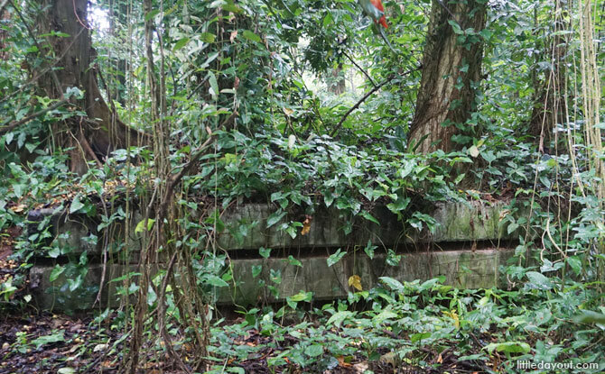 Signs of past communities along the Wallace Trail