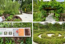Children’s Discovery Area At Jurong Lake Garden’s Therapeutic Garden: Outdoor Classroom To Engage The Senses Children’s Discovery Area At Jurong Lake Garden’s Therapeutic Garden: An Outdoor Classroom To Engage The Senses