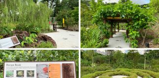 Children’s Discovery Area At Jurong Lake Garden’s Therapeutic Garden: An Outdoor Classroom To Engage The Senses