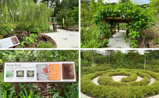 Children’s Discovery Area At Jurong Lake Garden’s Therapeutic Garden: An Outdoor Classroom To Engage The Senses