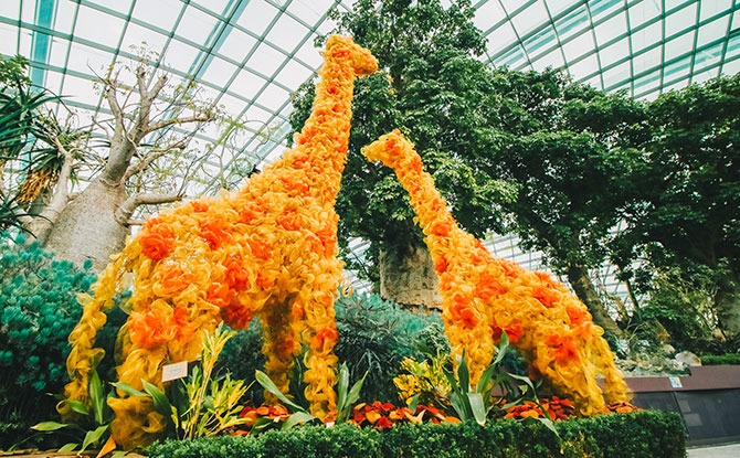 25% Off Gardens By The Bay’s Cooled Conservatory Tickets From 1 Sep To 31 Oct 2020