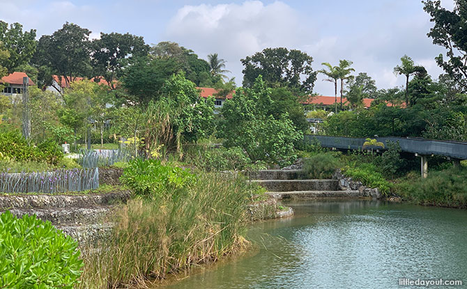 What to see at Nanyang Lake