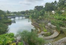 Nanyang Lake: Wetlands & Two-Level Netted Playground Nanyang Lake, NTU