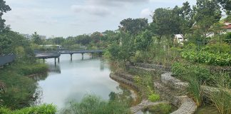 Nanyang Lake, NTU