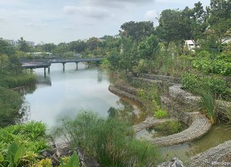 Nanyang Lake, NTU