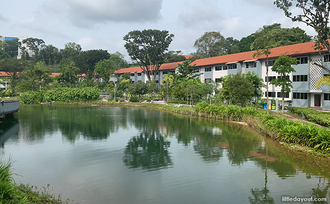 Sedimentation Basin & Wetlands