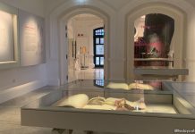 Botanical Art Gallery At 7 Gallop Road: Nature Meets Artistry At Inverturret Botanical Art Gallery At 7 Gallop Road: Nature Meets Artistry At Inverturret