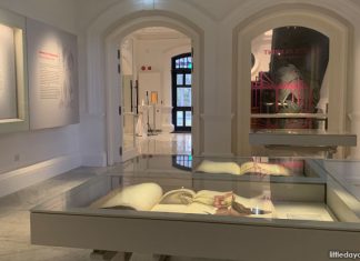 Botanical Art Gallery At 7 Gallop Road: Nature Meets Artistry At Inverturret Botanical Art Gallery At 7 Gallop Road: Nature Meets Artistry At Inverturret