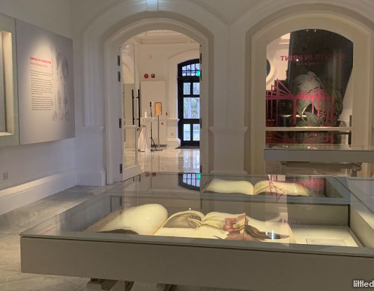 Botanical Art Gallery At 7 Gallop Road: Nature Meets Artistry At Inverturret