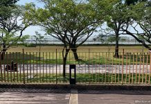 Teban Neighbourhood Park: Green Space & Playground Next To The Reservoir Look out at Teban Neighbourhood Park