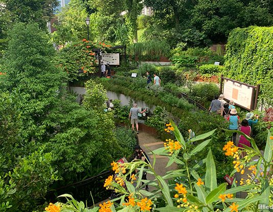 Fort Canning Spice Gallery & Garden: 180 Varieties Of Plants, Including Herbs & Spices