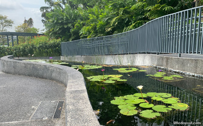 Gardens at Nanyang Lake