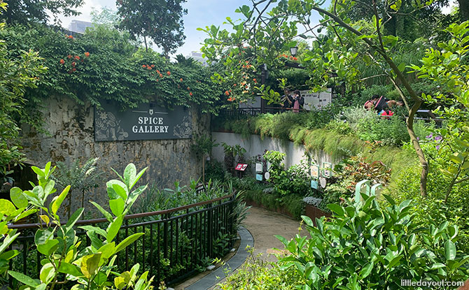 Fort Canning Spice Garden and Spice Gallery