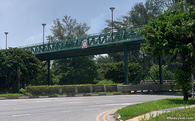 Bridge over Fort Road