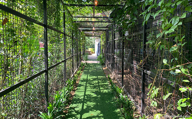 Green tunnel