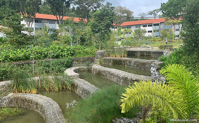 Nanyang Lake Scenery