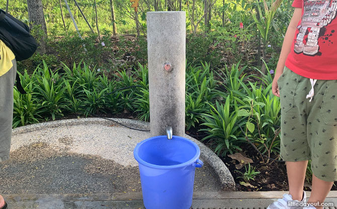 Water Point at Sembawang Hot Spring Park