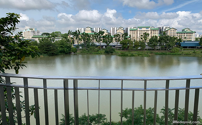 View from the Yishun Pond Park Lookout Tower