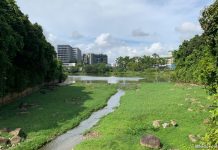 Yishun Pond Park: Waterside Walk & Cafés With A View Yishun Pond Park