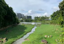 Yishun Pond Park: Waterside Walk & Cafés With A View Yishun Pond Park