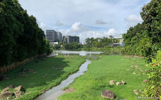 Yishun Pond Park