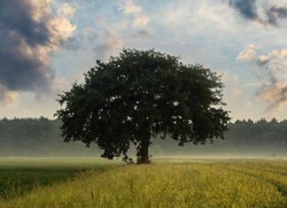 “Control” During The COVID-19 Crisis: Helping Ourselves And Our Families Cope Better “Control” During The COVID-19 Crisis: Helping Ourselves And Our Families Cope Better