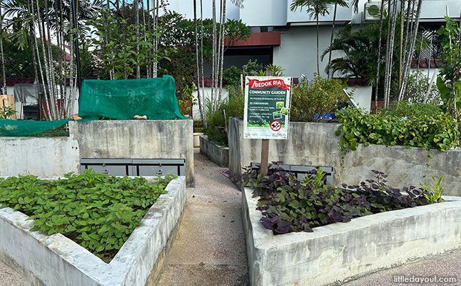 Community Garden