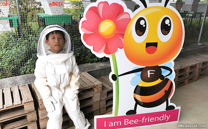 Visit BEE AMAZED Garden to Truly Bee-lieve