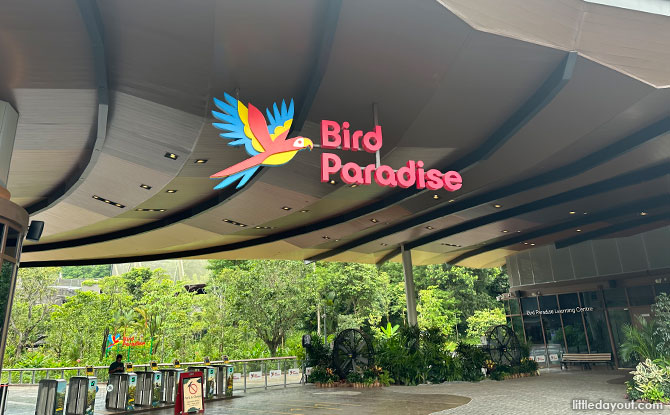 Amazing Guide To Bird Paradise [Updated 2024]: Walk-In Aviaries, Presentations, Tips & More At The Mandai Park
