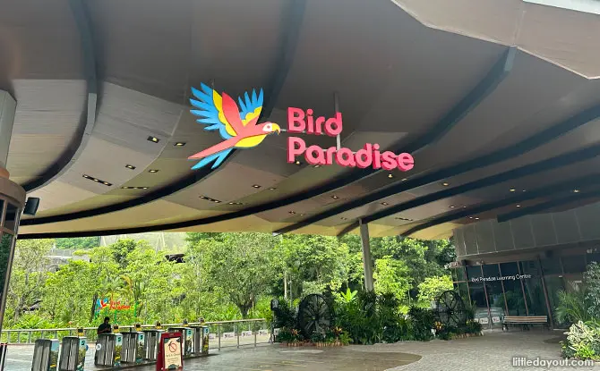 Amazing Guide To Bird Paradise [Updated 2025]: Walk-In Aviaries, Presentations, Tips & More At The Mandai Park