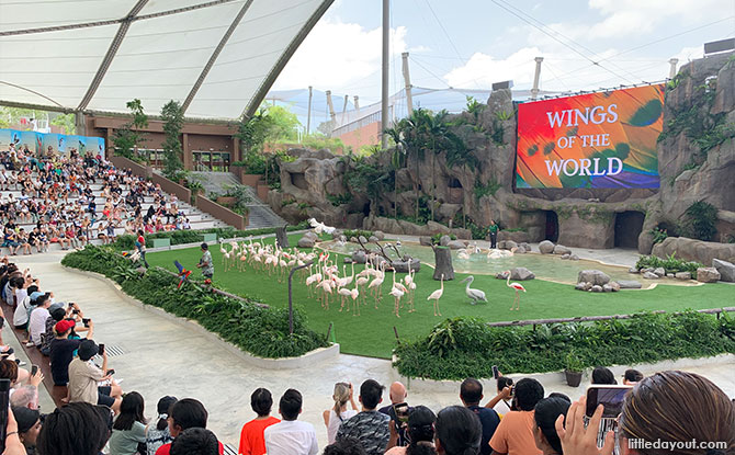 Easter Eggs-travaganza 2026: Easter Egg Hunts & Kids Enter Free 7 Free Admission to Bird Paradise for Kids