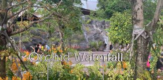 Singlife Adopts Orchid Waterfall At Bird Paradise