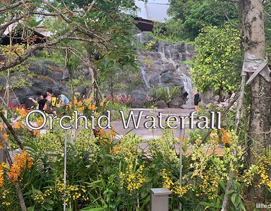 Singlife Adopts Orchid Waterfall At Bird Paradise