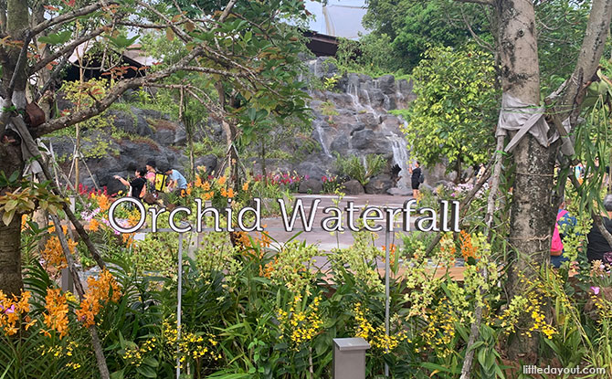 Singlife Adopts Orchid Waterfall At Bird Paradise