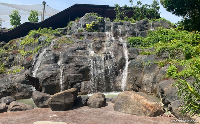 Orchid Waterfall at Bird Paradise: A Nod to the Mandai Orchid Gardens
