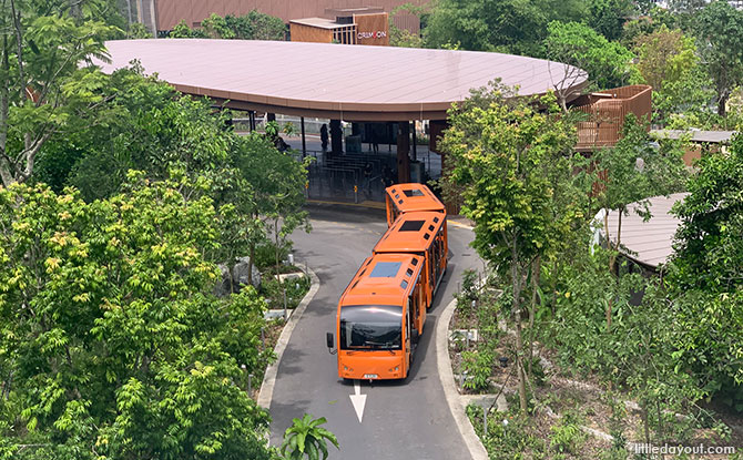 Shuttle Stops at Bird Paradise