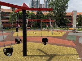 Bishan North Neighbourhood Park: Swings At The Oval