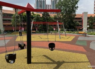 Bishan North Neighbourhood Park: New Swings At The Oval Bishan North Neighbourhood Park: Swings At The Oval