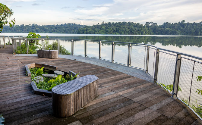 boardwalk mandai