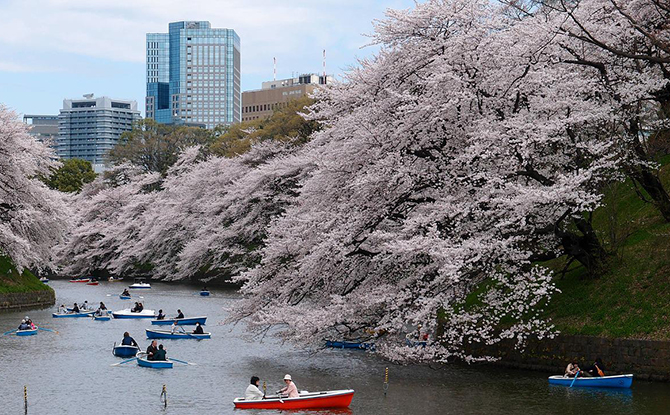 Interesting Facts about Tokyo, Japan