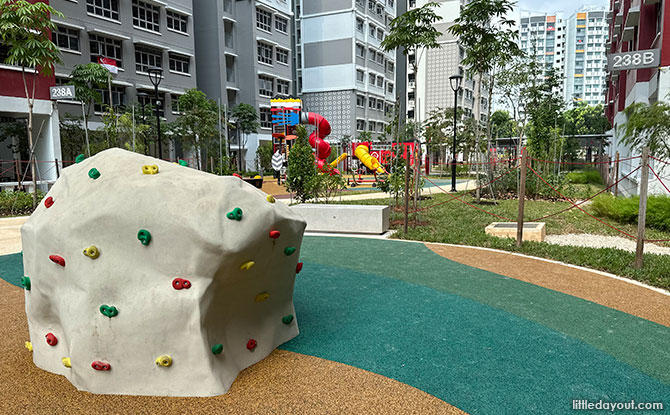 Climbing Rock 