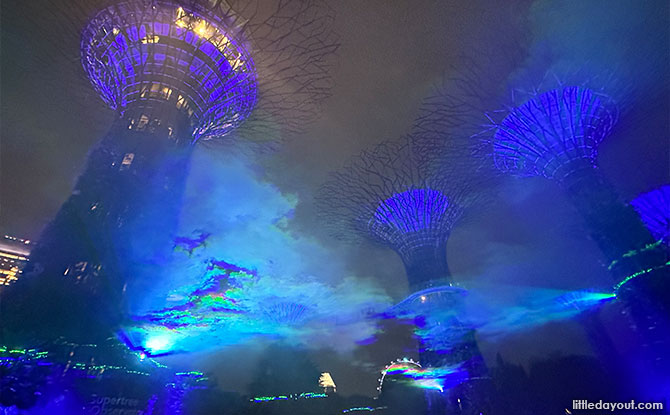 Borealis At Gardens By The Bay: Northern Lights In Singapore At The Supertree Grove