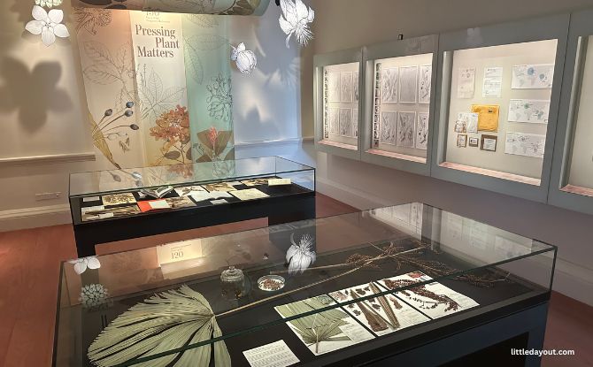 Botanical Art Gallery At 7 Gallop Road: Nature Meets Artistry At Inverturret 8 Exhibitions at the Botanical Art Gallery