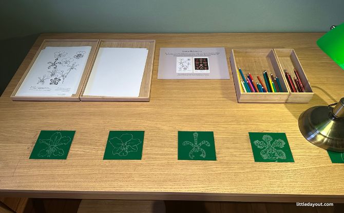 Botanical Art Gallery At 7 Gallop Road: Nature Meets Artistry At Inverturret 6 Wood block printing on Level 2
