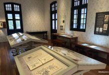 Botanical Art Gallery At 7 Gallop Road: Nature Meets Artistry At Inverturret Botanical Art Gallery At 7 Gallop Road: Nature Meets Artistry At Inverturret