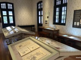 Botanical Art Gallery At 7 Gallop Road: Nature Meets Artistry At Inverturret