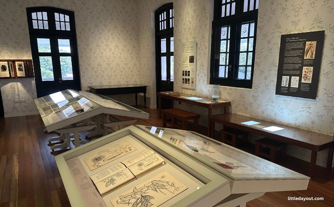 Botanical Art Gallery At 7 Gallop Road: Nature Meets Artistry At Inverturret Botanical Art Gallery At 7 Gallop Road: Nature Meets Artistry At Inverturret