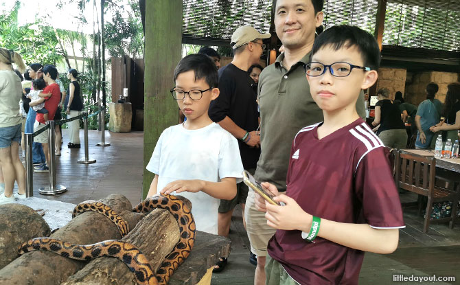 Animal encounters